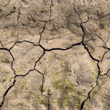 Çatlak yeryüzü arka planı. Toprak yüzeyinde çatlaklar var. Çamur çatlakları.