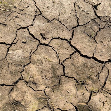 Çatlak yeryüzü arka planı. Toprak yüzeyinde çatlaklar var. Çamur çatlakları.