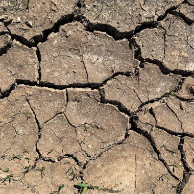 Çatlak yeryüzü arka planı. Toprak yüzeyinde çatlaklar var. Çamur çatlakları.