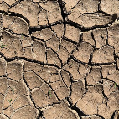 Çatlak yeryüzü arka planı. Toprak yüzeyinde çatlaklar var. Çamur çatlakları.