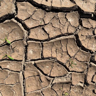 Çatlak yeryüzü arka planı. Toprak yüzeyinde çatlaklar var. Çamur çatlakları.