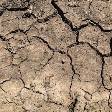 Çatlak yeryüzü arka planı. Toprak yüzeyinde çatlaklar var. Çamur çatlakları.