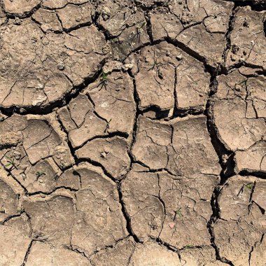 Çatlak yeryüzü arka planı. Toprak yüzeyinde çatlaklar var. Çamur çatlakları.