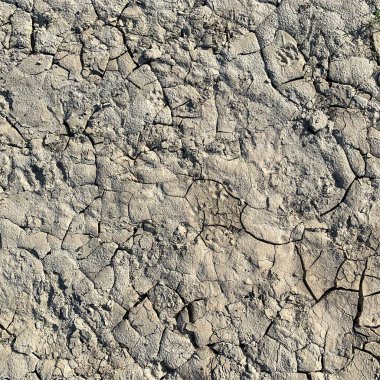 Çatlak yeryüzü arka planı. Toprak yüzeyinde çatlaklar var. Çamur çatlakları.
