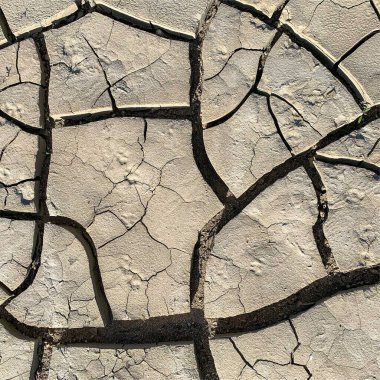 Çatlak yeryüzü arka planı. Toprak yüzeyinde çatlaklar var. Çamur çatlakları.