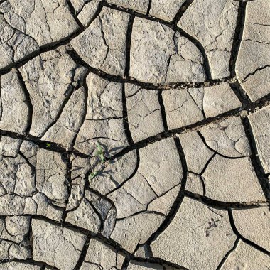 Çatlak yeryüzü arka planı. Toprak yüzeyinde çatlaklar var. Çamur çatlakları.