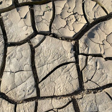 Çatlak yeryüzü arka planı. Toprak yüzeyinde çatlaklar var. Çamur çatlakları.