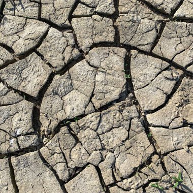 Çatlak yeryüzü arka planı. Toprak yüzeyinde çatlaklar var. Çamur çatlakları.