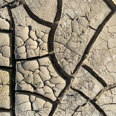Çatlak yeryüzü arka planı. Toprak yüzeyinde çatlaklar var. Çamur çatlakları.