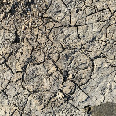Çatlak yeryüzü arka planı. Toprak yüzeyinde çatlaklar var. Çamur çatlakları.