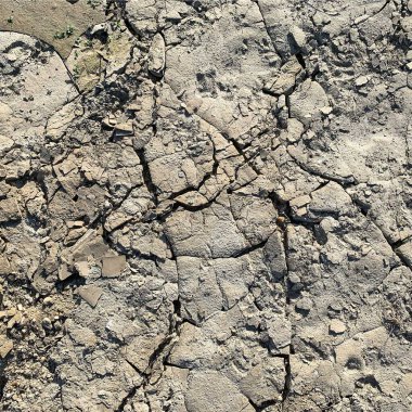 Çatlak yeryüzü arka planı. Toprak yüzeyinde çatlaklar var. Çamur çatlakları.
