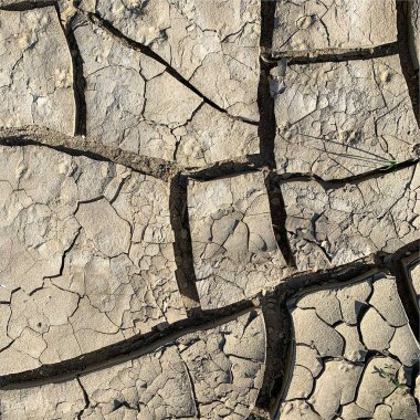 Çatlak yeryüzü arka planı. Toprak yüzeyinde çatlaklar var. Çamur çatlakları.