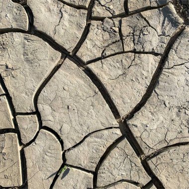 Çatlak yeryüzü arka planı. Toprak yüzeyinde çatlaklar var. Çamur çatlakları.