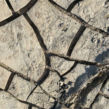Çatlak yeryüzü arka planı. Toprak yüzeyinde çatlaklar var. Çamur çatlakları.