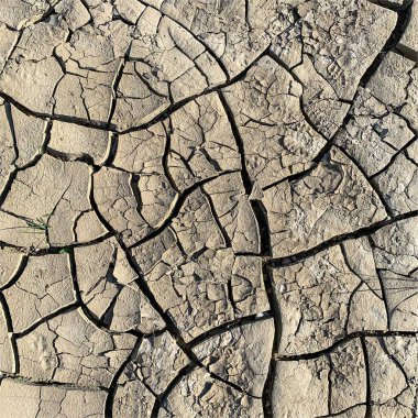 Çatlak yeryüzü arka planı. Toprak yüzeyinde çatlaklar var. Çamur çatlakları.