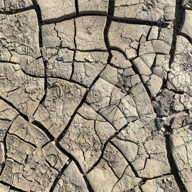 Çatlak yeryüzü arka planı. Toprak yüzeyinde çatlaklar var. Çamur çatlakları.