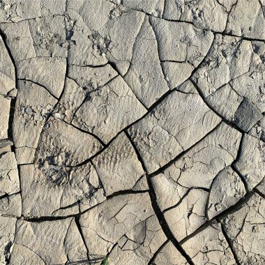 Çatlak yeryüzü arka planı. Toprak yüzeyinde çatlaklar var. Çamur çatlakları.