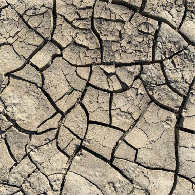 Çatlak yeryüzü arka planı. Toprak yüzeyinde çatlaklar var. Çamur çatlakları.