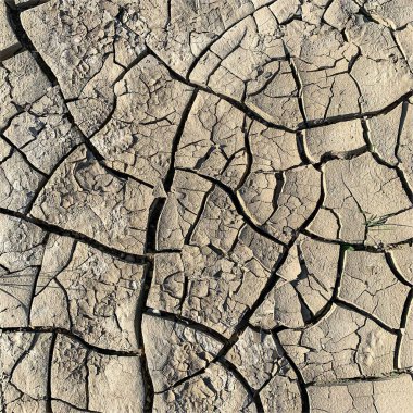 Çatlak yeryüzü arka planı. Toprak yüzeyinde çatlaklar var. Çamur çatlakları.