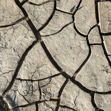 Çatlak yeryüzü arka planı. Toprak yüzeyinde çatlaklar var. Çamur çatlakları.