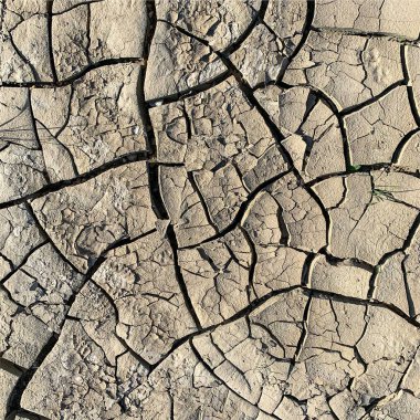 Çatlak yeryüzü arka planı. Toprak yüzeyinde çatlaklar var. Çamur çatlakları.