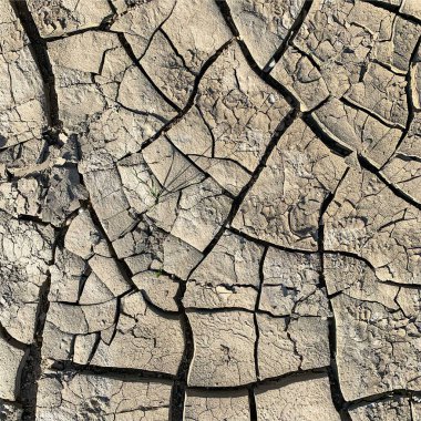Çatlak yeryüzü arka planı. Toprak yüzeyinde çatlaklar var. Çamur çatlakları.