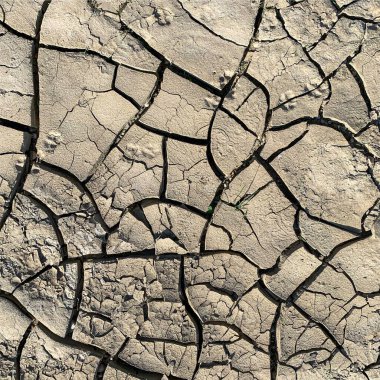 Çatlak yeryüzü arka planı. Toprak yüzeyinde çatlaklar var. Çamur çatlakları.