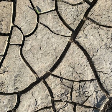 Çatlak yeryüzü arka planı. Toprak yüzeyinde çatlaklar var. Çamur çatlakları.