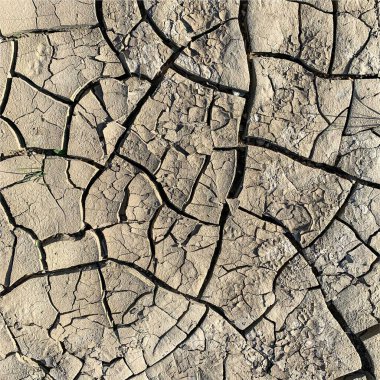 Çatlak yeryüzü arka planı. Toprak yüzeyinde çatlaklar var. Çamur çatlakları.