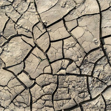 Çatlak yeryüzü arka planı. Toprak yüzeyinde çatlaklar var. Çamur çatlakları.