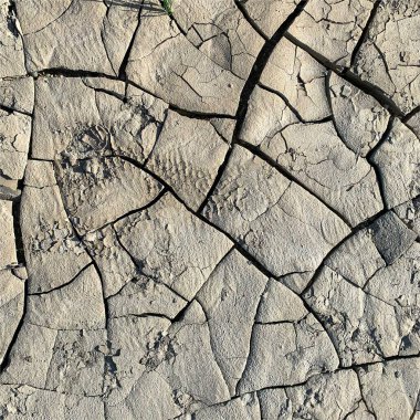 Çatlak yeryüzü arka planı. Toprak yüzeyinde çatlaklar var. Çamur çatlakları.