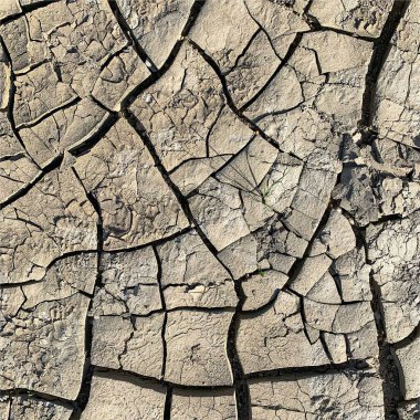 Çatlak yeryüzü arka planı. Toprak yüzeyinde çatlaklar var. Çamur çatlakları.