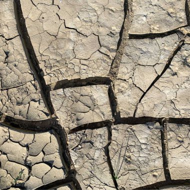 Çatlak yeryüzü arka planı. Toprak yüzeyinde çatlaklar var. Çamur çatlakları.