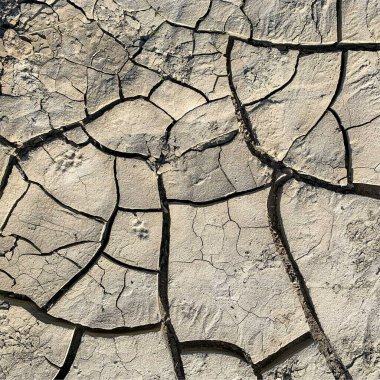 Çatlak yeryüzü arka planı. Toprak yüzeyinde çatlaklar var. Çamur çatlakları.