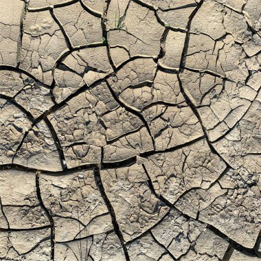 Çatlak yeryüzü arka planı. Toprak yüzeyinde çatlaklar var. Çamur çatlakları.