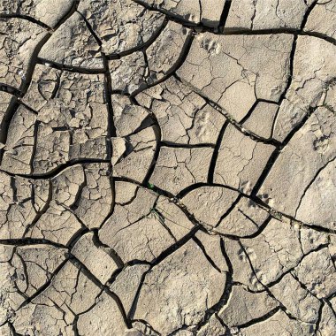 Çatlak yeryüzü arka planı. Toprak yüzeyinde çatlaklar var. Çamur çatlakları.