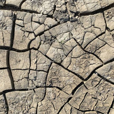 Çatlak yeryüzü arka planı. Toprak yüzeyinde çatlaklar var. Çamur çatlakları.