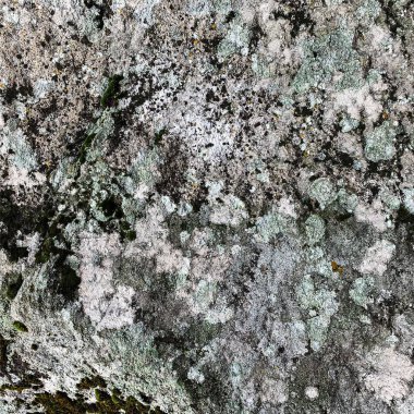 Dağ kayası arka planı. Kaya dokusu. Taş zemin