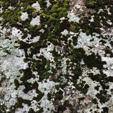 Dağ kayası arka planı. Kaya dokusu. Taş zemin