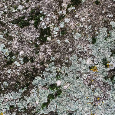 Dağ kayası arka planı. Kaya dokusu. Taş zemin