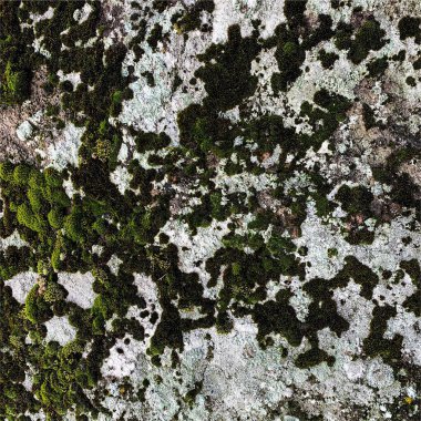 Dağ kayası arka planı. Kaya dokusu. Taş zemin