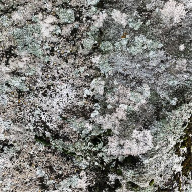 Dağ kayası arka planı. Kaya dokusu. Taş zemin