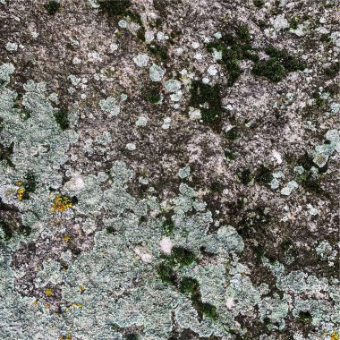 Dağ kayası arka planı. Kaya dokusu. Taş zemin