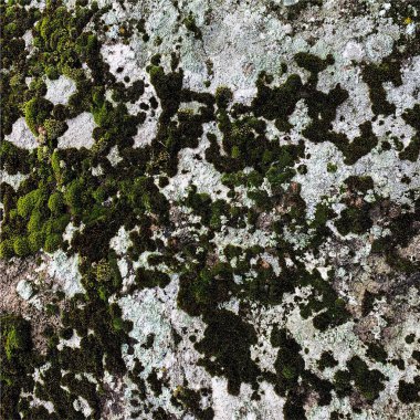 Dağ kayası arka planı. Kaya dokusu. Taş zemin