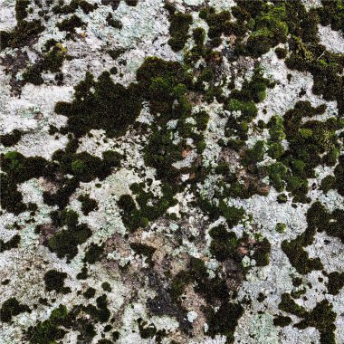 Dağ kayası arka planı. Kaya dokusu. Taş zemin