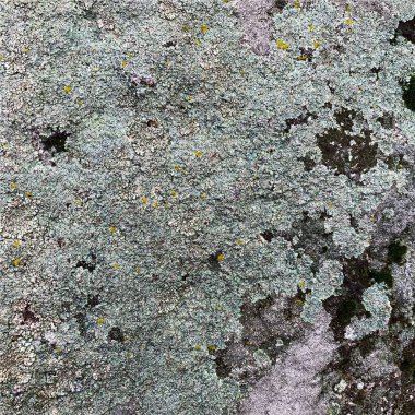 Dağ kayası arka planı. Kaya dokusu. Taş zemin