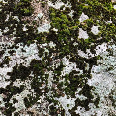 Dağ kayası arka planı. Kaya dokusu. Taş zemin