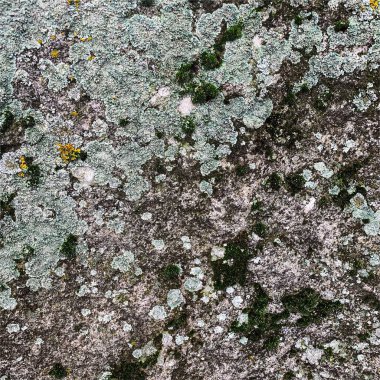 Dağ kayası arka planı. Kaya dokusu. Taş zemin