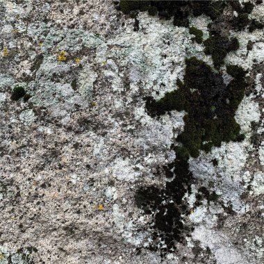 Dağ kayası arka planı. Kaya dokusu. Taş zemin