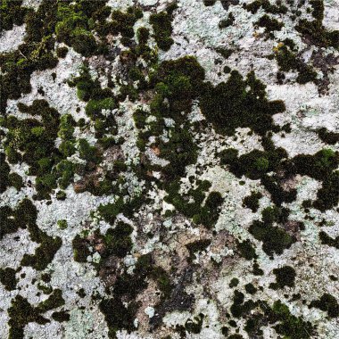 Dağ kayası arka planı. Kaya dokusu. Taş zemin